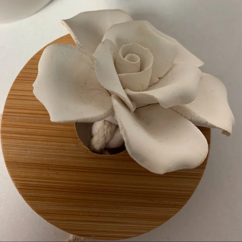 BLUZEN Rose Stone Diffuser NWOT